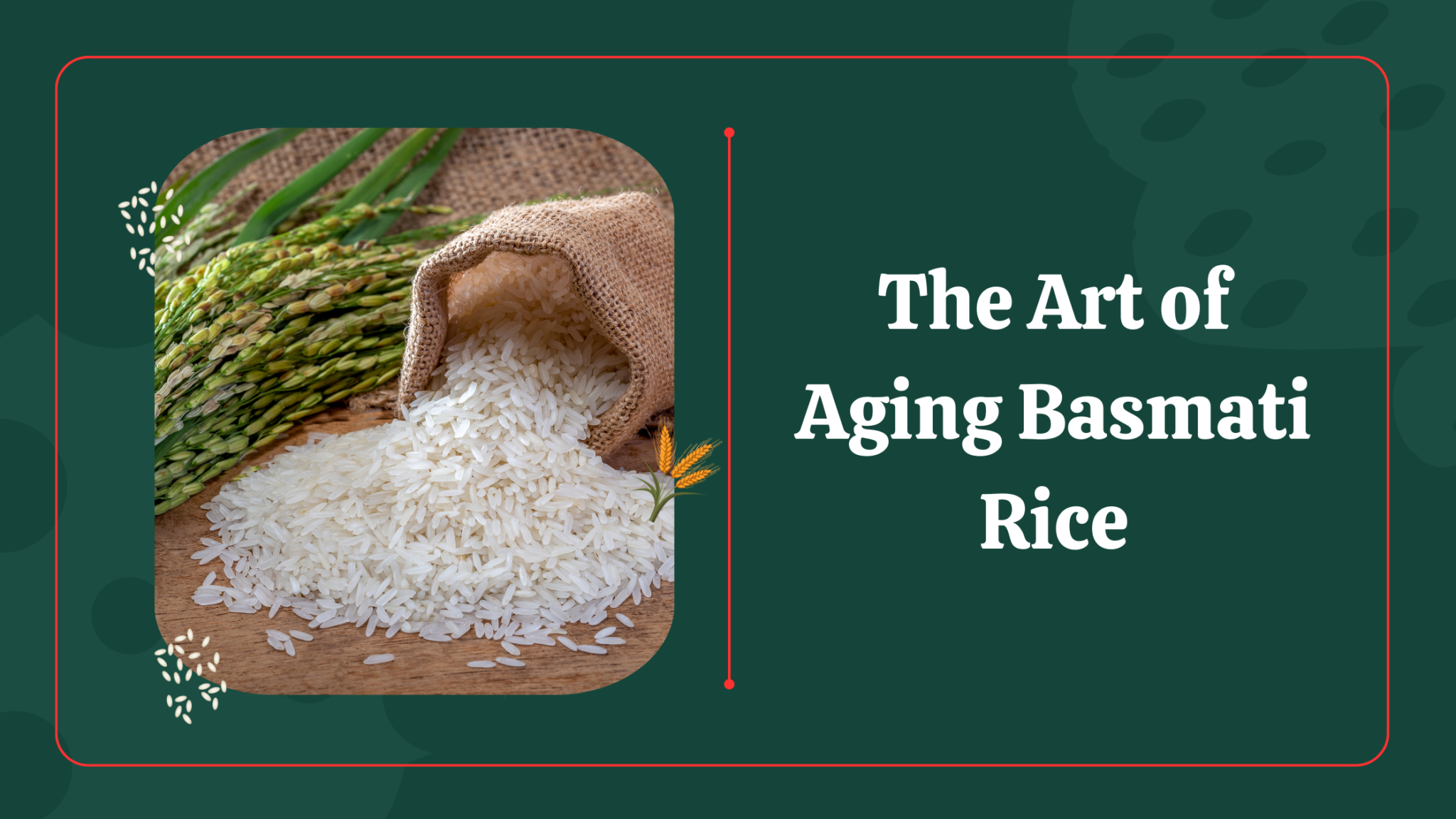 Health Benefits of Basmati Rice - 1